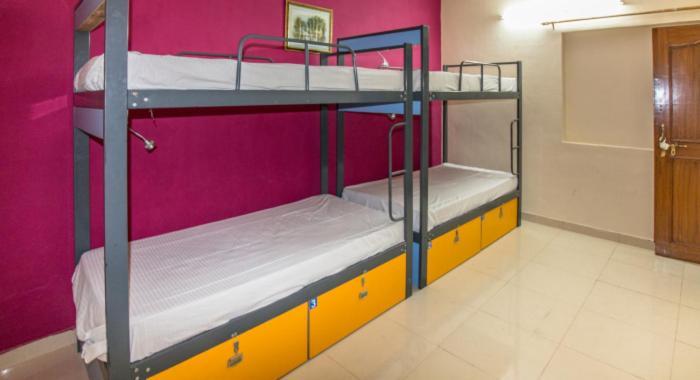ג'איפור Stephels Hostel מראה חיצוני תמונה